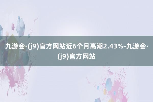 九游会·(j9)官方网站近6个月高潮2.43%-九游会·(j9)官方网站